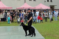 Policjant prezentuje psa służbowego