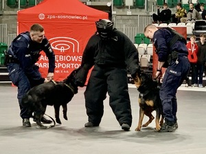 Zdjęcie przedstawia przewodników psów służbowych oraz psy słuzbowe podczas pokazu.
