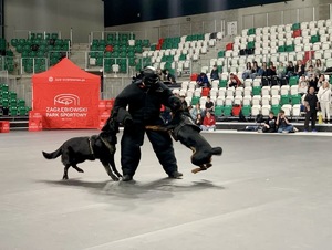 Zdjęcie przedstawia przewodników psów służbowych podczas pokazu. W tle uczestnicy wydarzenia.